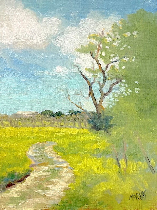 Paisaje rural con un sendero serpenteante, rodeado de campos verdes y un árbol grande bajo un cielo azul con nubes esponjosas.