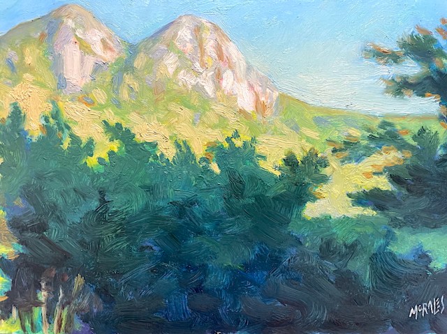 Paisaje montañoso con vegetación densa en primer plano y cumbres en el fondo bajo un cielo azul claro.