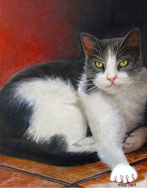 Retrato de un gato blanco y negro con ojos verdosos, descansando sobre un suelo de azulejos, con un fondo de color rojo oscuro.
