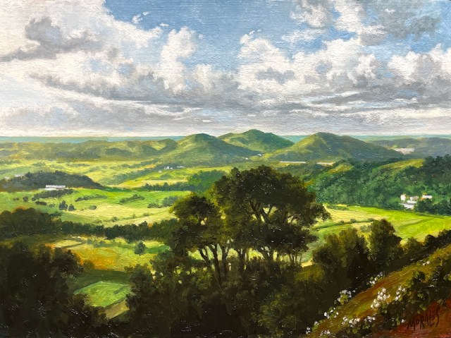 Vista de un paisaje montañoso con colinas verdes, árboles y un cielo nublado, evocando un ambiente natural y sereno.